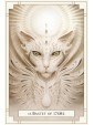 White Light Pocket Oracle by Alana Fairchild and Andrew Gonzalez